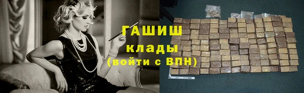 стаф Елизово