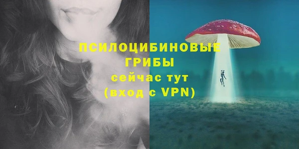 мяу мяу мука Ельня