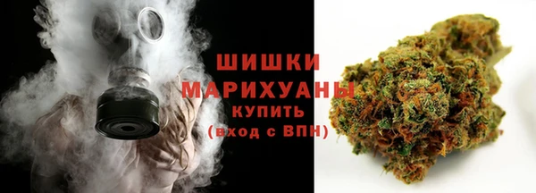 стаф Елизово