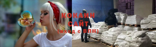 стаф Елизово