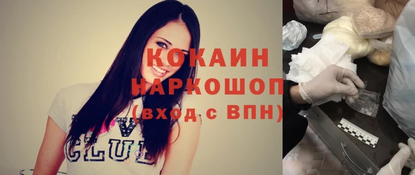стаф Елизово