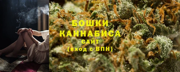 стаф Елизово