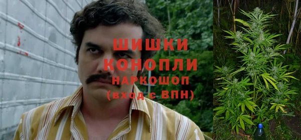 стаф Елизово