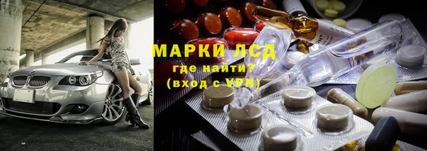 стаф Елизово