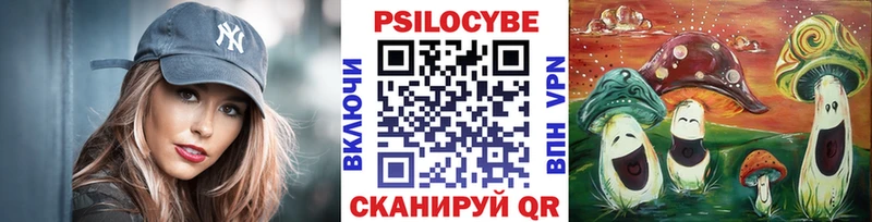 Купить  Невинномысск  Псилоцибиновые грибы Cubensis 